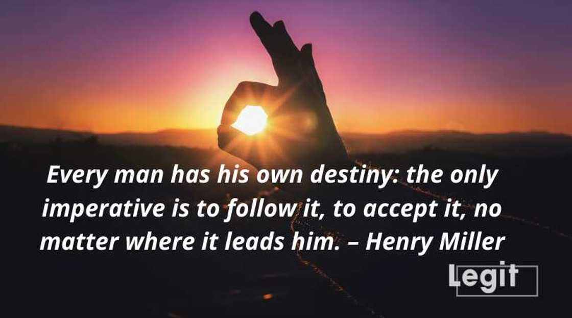 quotes about destiny quotes about destiny