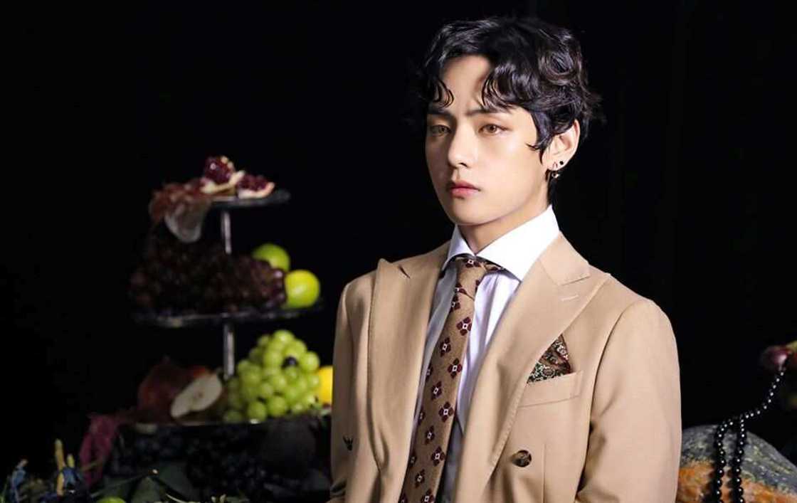 bts members bts members