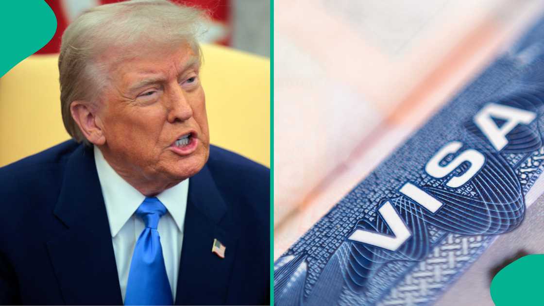 Gold Card: 5 Things to Know About US Citizenship Visa Being Proposed by Trump