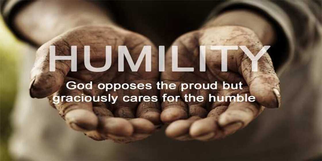 Bible quotes on humility Bible quotes on humility