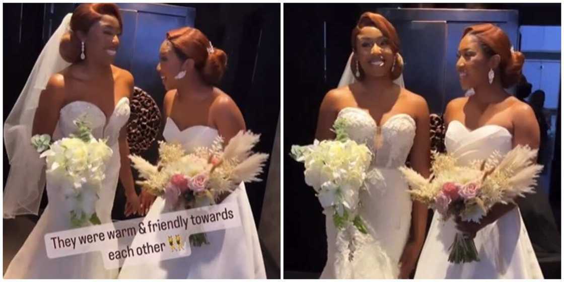 Twin brides Twin brides