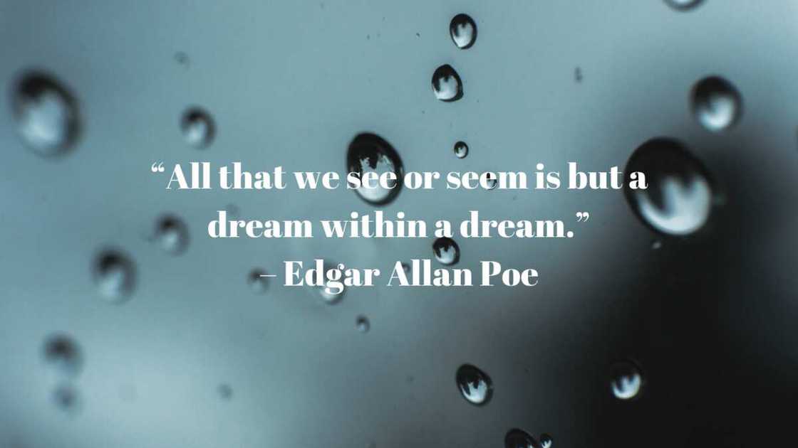 Edgar Allan Poe quotes about love Edgar Allan Poe quotes about love