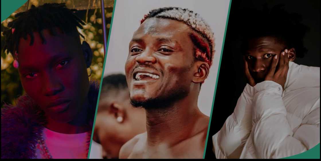 Portable extends an olive branch to colleagues. Portable extends an olive branch to colleagues.