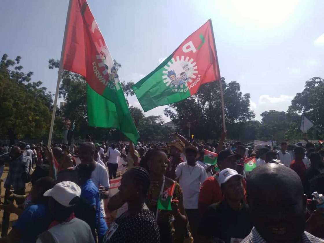 Peter Obi, Obidient, Lagos Rally, Obi supporters, rally, march