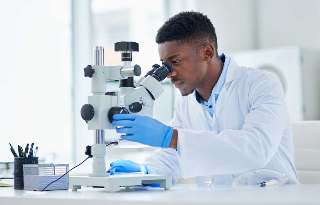 A young male scientist in a laboratory.