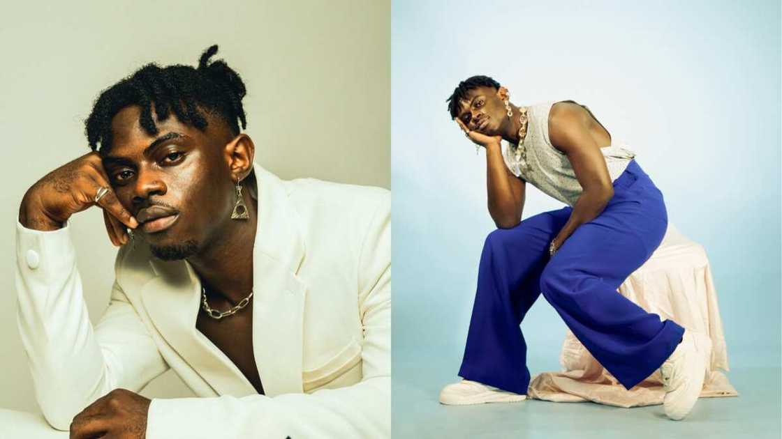 check out the richest housemates from Big Brother Naija season 7 check out the richest housemates from Big Brother Naija season 7