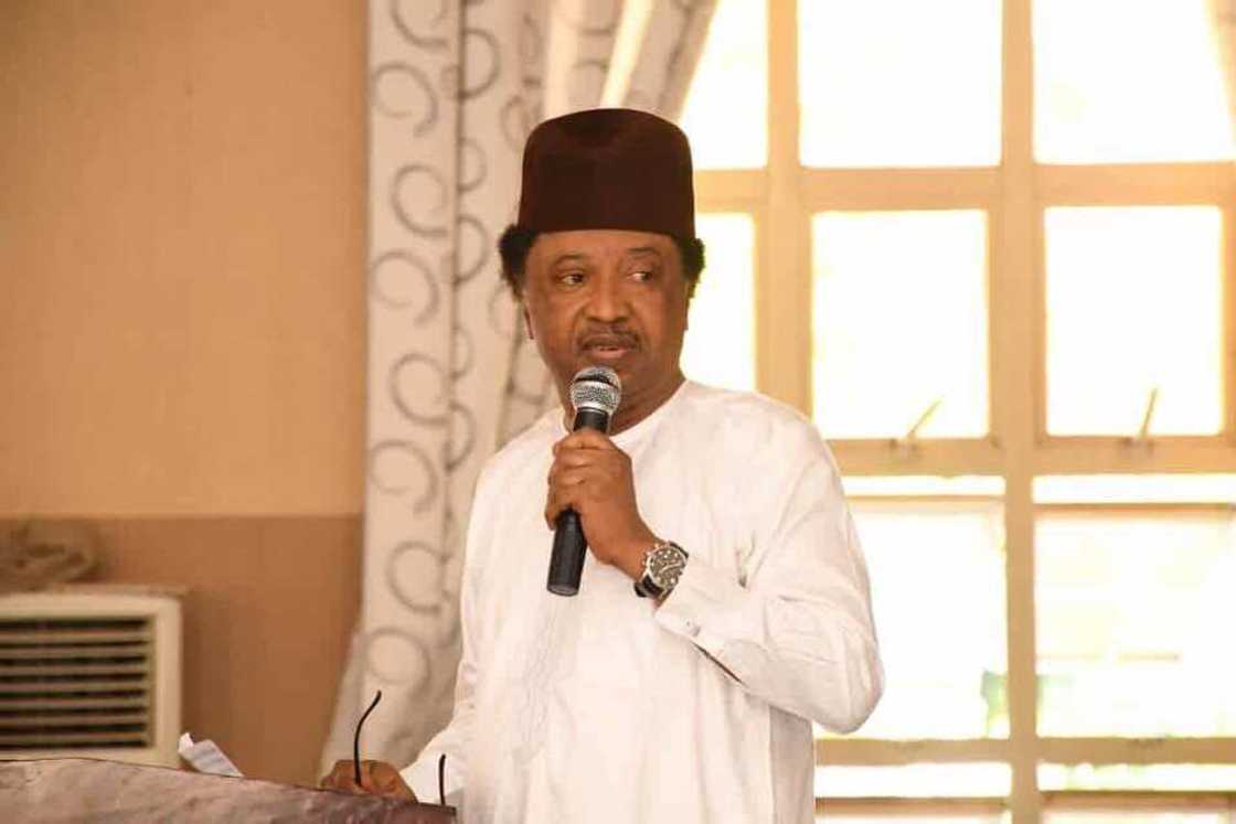 Kidnapping: Shehu Sani sends important message to Fayemi, El-Rufai, others Kidnapping: Shehu Sani sends important message to Fayemi, El-Rufai, others