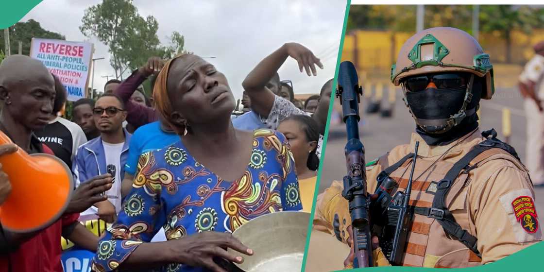 An immigration officer and protesters An immigration officer and protesters