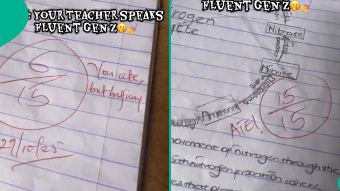 Gen Z teacher's remarks on her students' notebooks triggers reactions