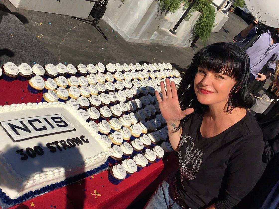 Pauley Perrette career Pauley Perrette career