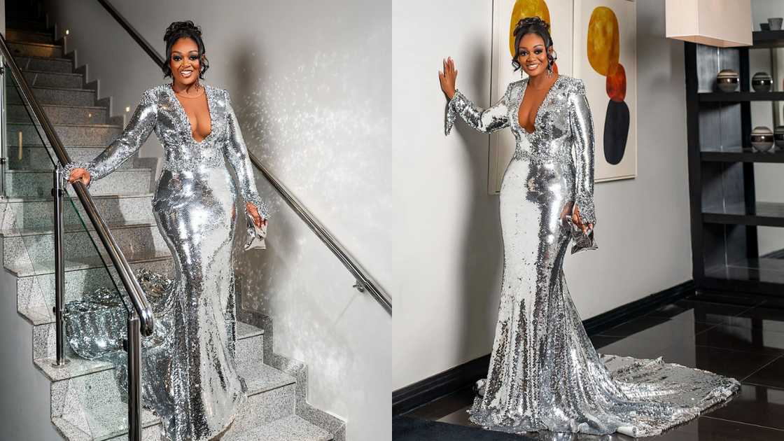 Glimmering silver gown