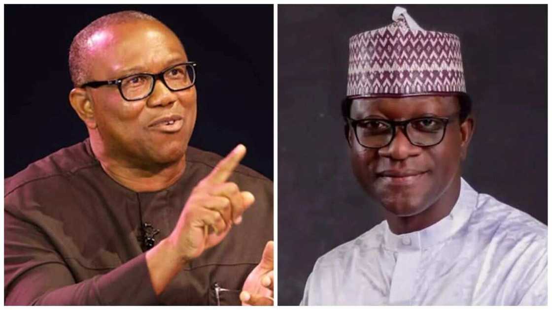 Peter Obi, Abdulmumin Jibrin, Labour Party, 2023 presidential election Peter Obi, Abdulmumin Jibrin, Labour Party, 2023 presidential election