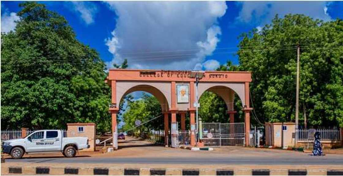 The North Is Richer Than The South by Sujimoto Sokoto State: The Hidden Gem The North Is Richer Than The South by Sujimoto Sokoto State: The Hidden Gem