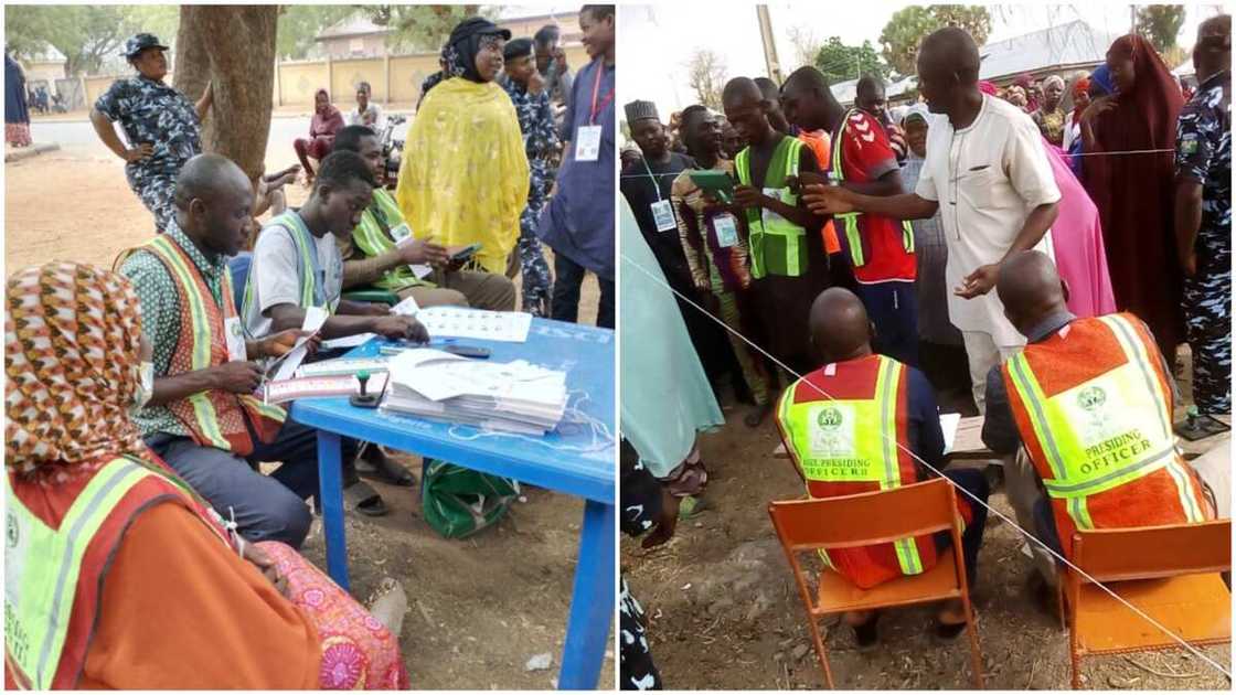 Supplementary Elections Results for Senate, House of Reps, Houses of Assembly: Live Updates