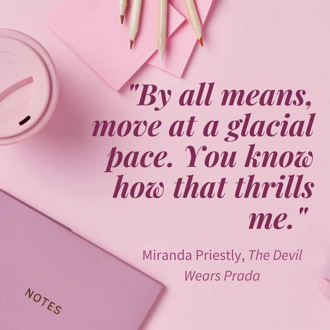 movie quotes funny movie quotes funny