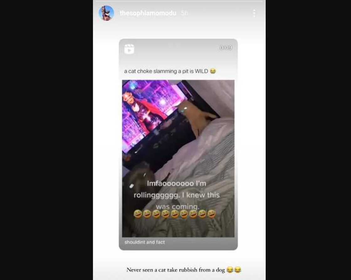 Davido's first baby mama Sophia throws shade. Davido's first baby mama Sophia throws shade.