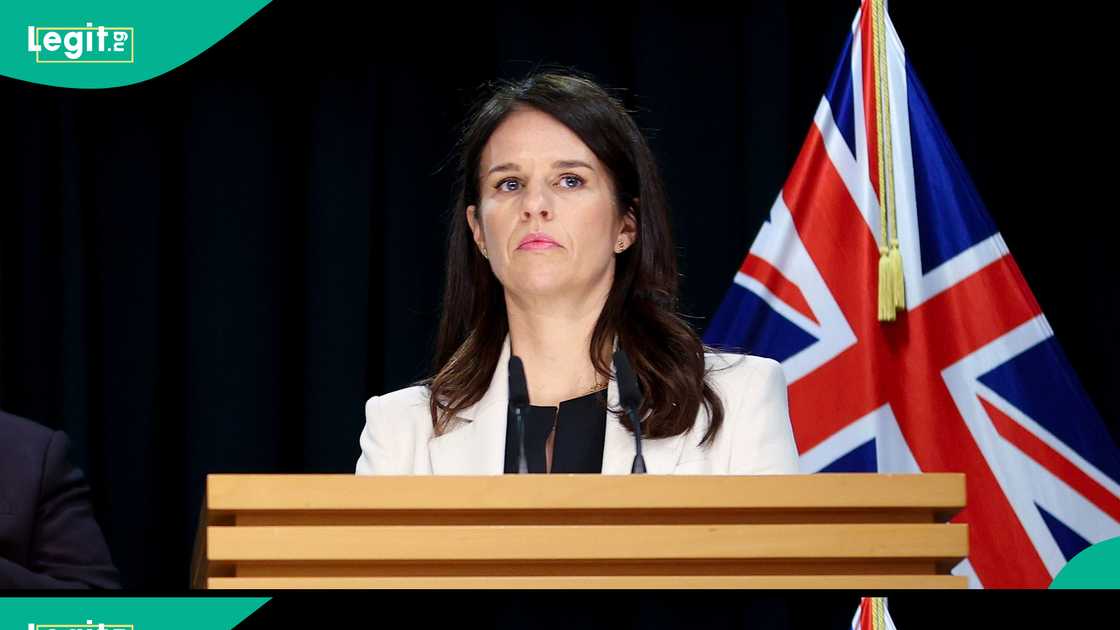 See key rules foreigners on New Zealand entertainers work visa must obey
