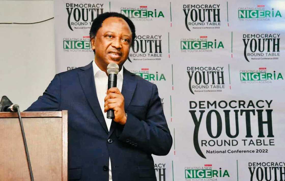 Presidency 2023, Shehu Sani, Southerner, Buhari