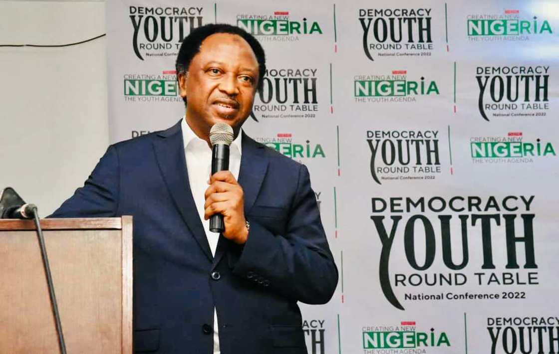 Presidency 2023, Shehu Sani, Southerner, Buhari Presidency 2023, Shehu Sani, Southerner, Buhari
