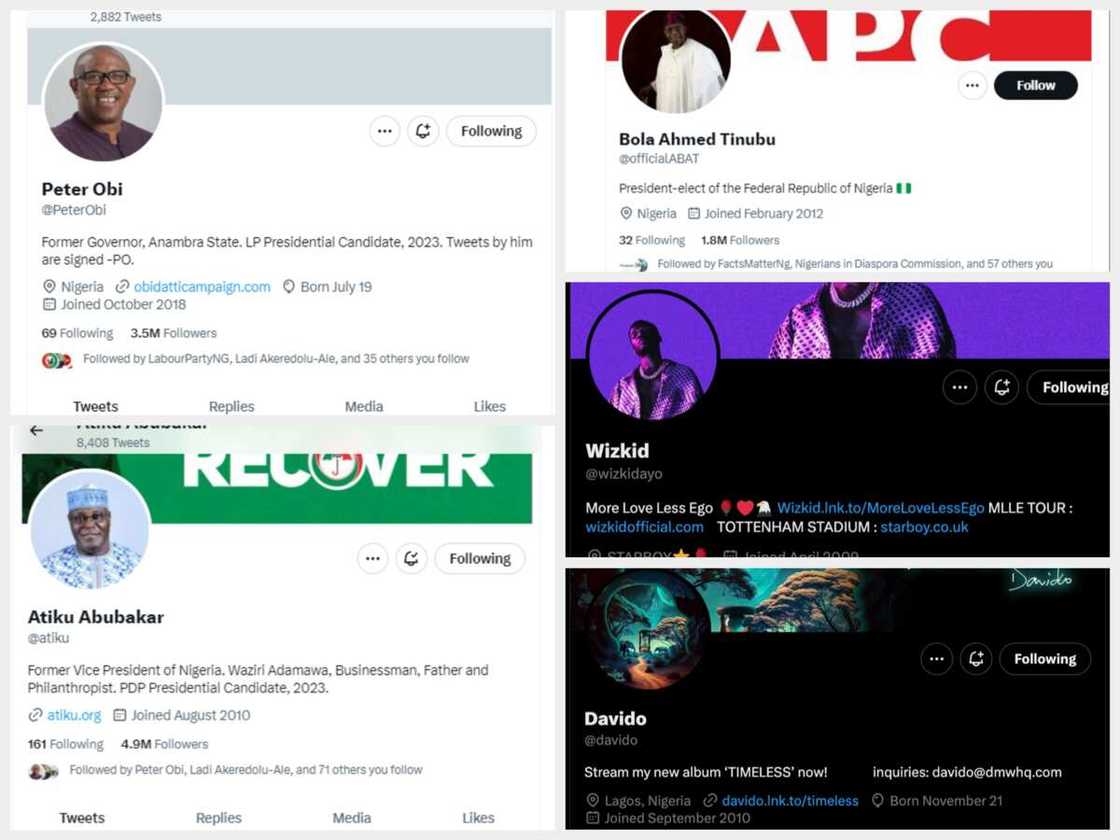 Elon Musk twitter verification Elon Musk twitter verification