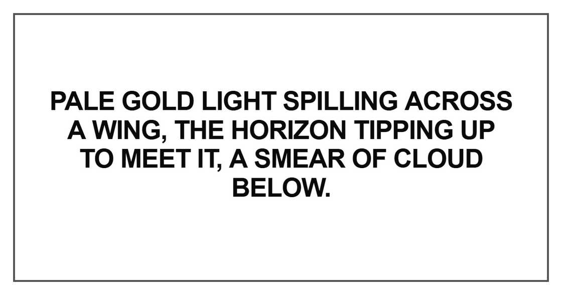 Pale gold light spilling across a wing, the horizon Pale gold light spilling across a wing, the horizon