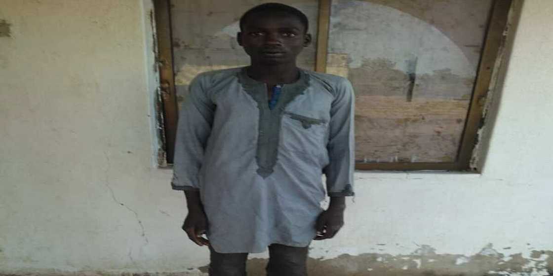 Hotuna: Sojoji sun halaka 'yan bindiga a Sokoto, Katsina da Zamfara, sun kwato dabbobi 651 Hotuna: Sojoji sun halaka 'yan bindiga a Sokoto, Katsina da Zamfara, sun kwato dabbobi 651