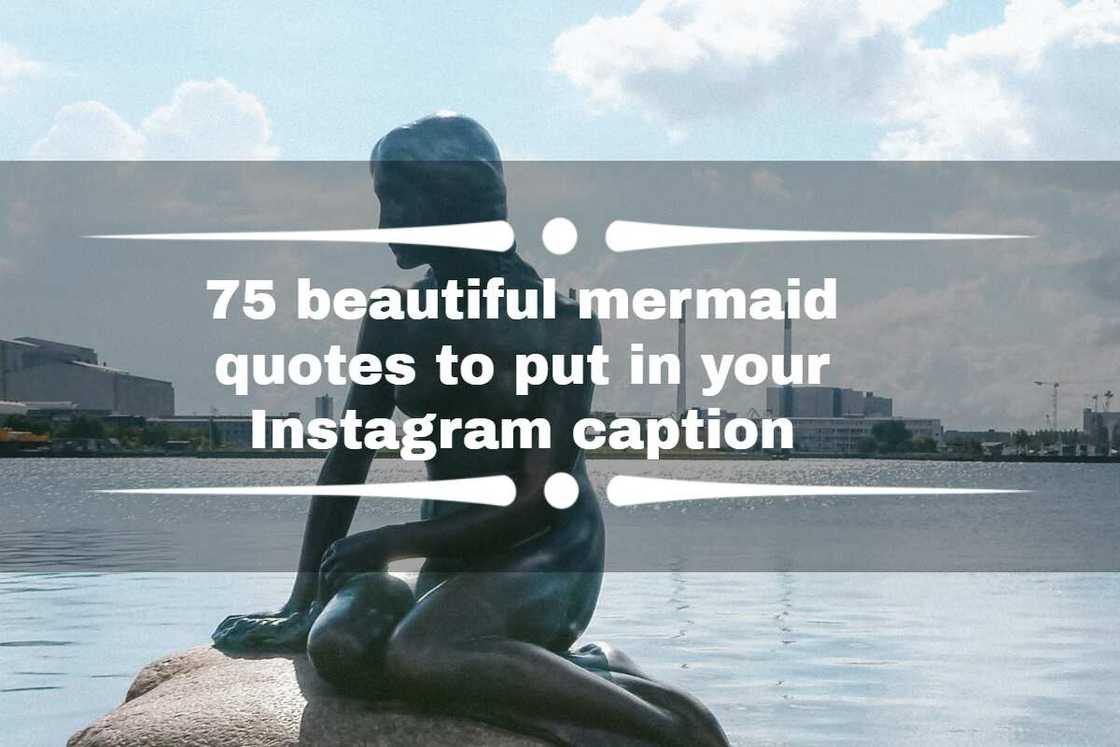 75 beautiful mermaid quotes to put in your Instagram caption - Legit.ng