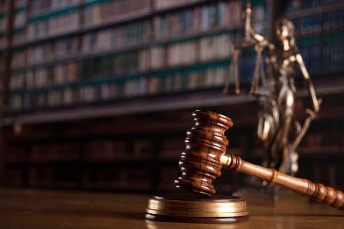 Wani ya maka makwabcinsa a kotu bisa zargin saran bishiyar gidansa a Kano Wani ya maka makwabcinsa a kotu bisa zargin saran bishiyar gidansa a Kano