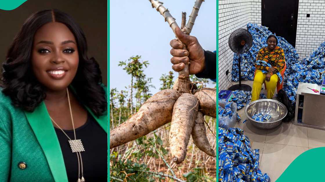 Nelly Agbogu cassava biscuits, Tapiokies Nigerian snack, Come Again Foods company, locally sourced cassava flour, NAFDAC certified Nigerian biscuits, Tapiokies distribution Nigeria.