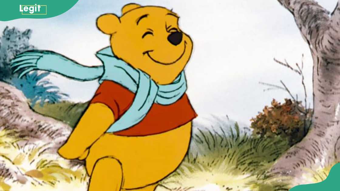 Winnie-the-Pooh Winnie-the-Pooh