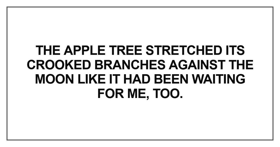 The apple tree stretched its crooked The apple tree stretched its crooked