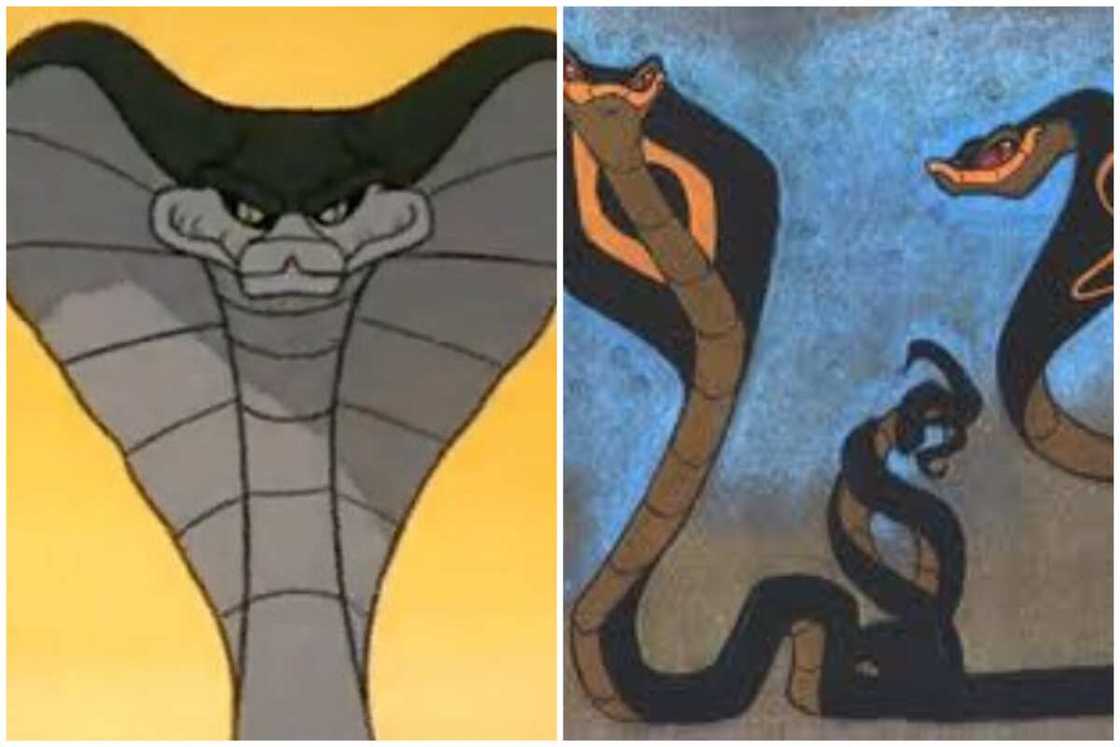main characters of Jungle Book main characters of Jungle Book