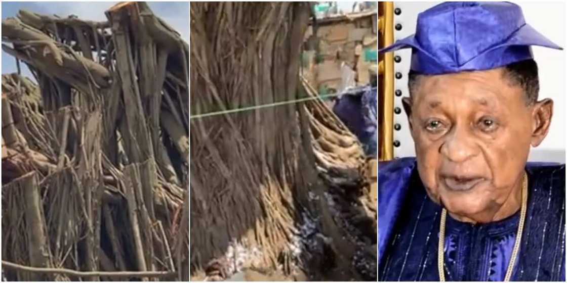 Oba Lamidi Adeyemi Oba Lamidi Adeyemi