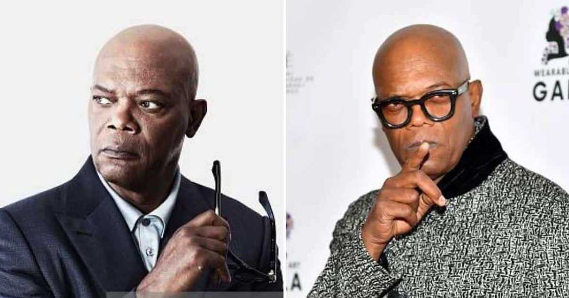 Samuel L. Jackson, Curse Words, Jonah Hill, Leonardo DiCaprio Samuel L. Jackson, Curse Words, Jonah Hill, Leonardo DiCaprio