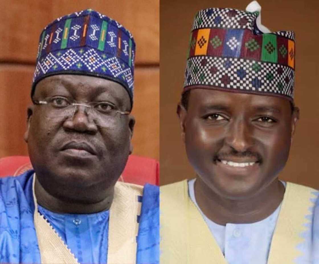 Babu Tsuntsu, Babu Tarko: 'Dan Takarar Sanatan Yobe Ta Arewa Ya Ki Janyewa Ahmad Lawan Babu Tsuntsu, Babu Tarko: 'Dan Takarar Sanatan Yobe Ta Arewa Ya Ki Janyewa Ahmad Lawan