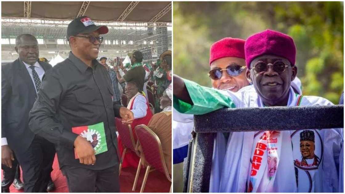 Tinubu and Peter Obi/APC/Labour Party Candidates Tinubu and Peter Obi/APC/Labour Party Candidates
