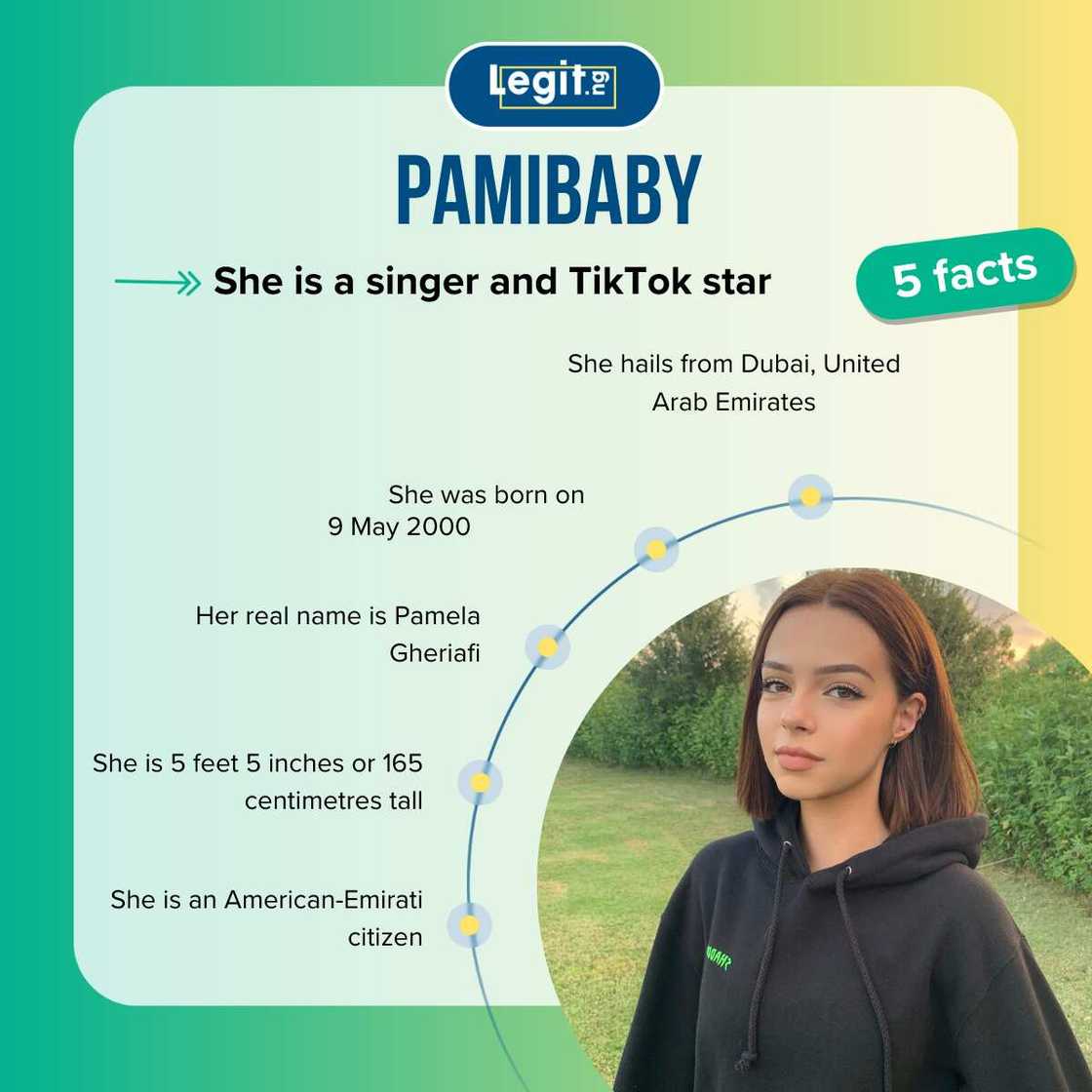 5 quick facts about Pamibaby 5 quick facts about Pamibaby