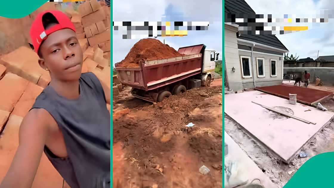 Family turns empty land into dream house, video goes viral Family turns empty land into dream house, video goes viral