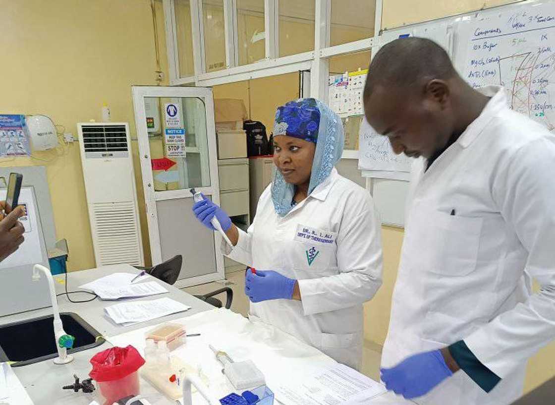 Nigerian biotechnologists and members of the Biotechnology Society of Nigeria are conducting research Nigerian biotechnologists and members of the Biotechnology Society of Nigeria are conducting research