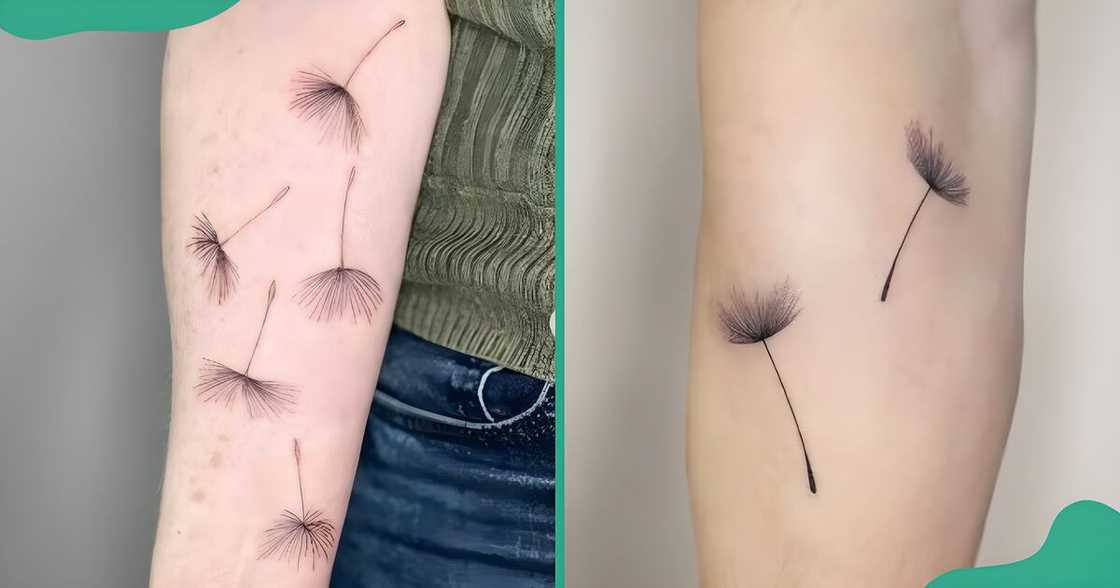 Blown dandelion seed tattoos on the arms. Blown dandelion seed tattoos on the arms.