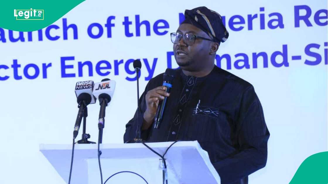 Adebayo Adelabu, Nigeria Minister for Power