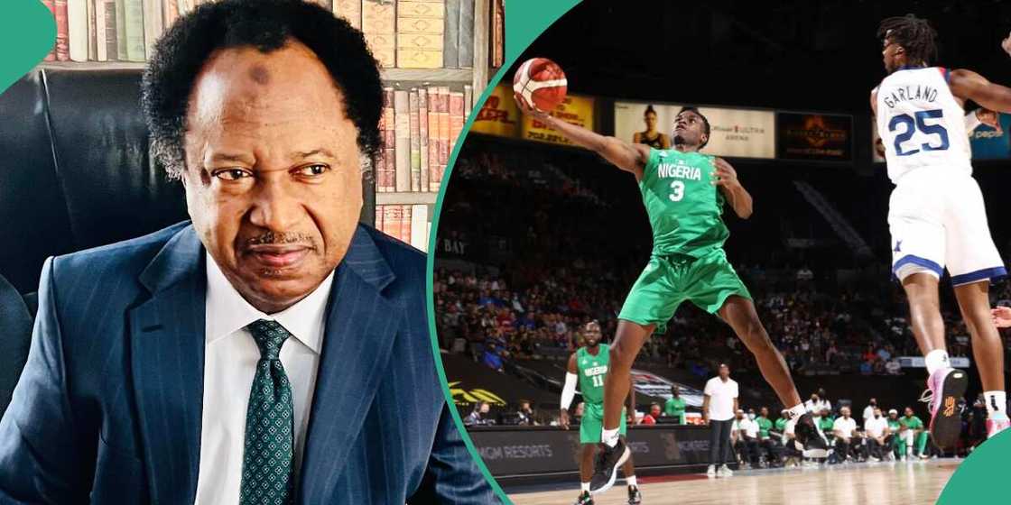 D’Tigers, Shehu Sani, NBBF, FG, Tinubu