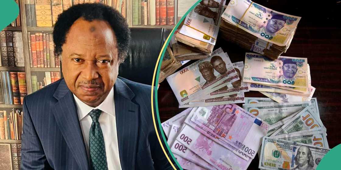 Shehu Sani speaks on naira to dollar exchange rate