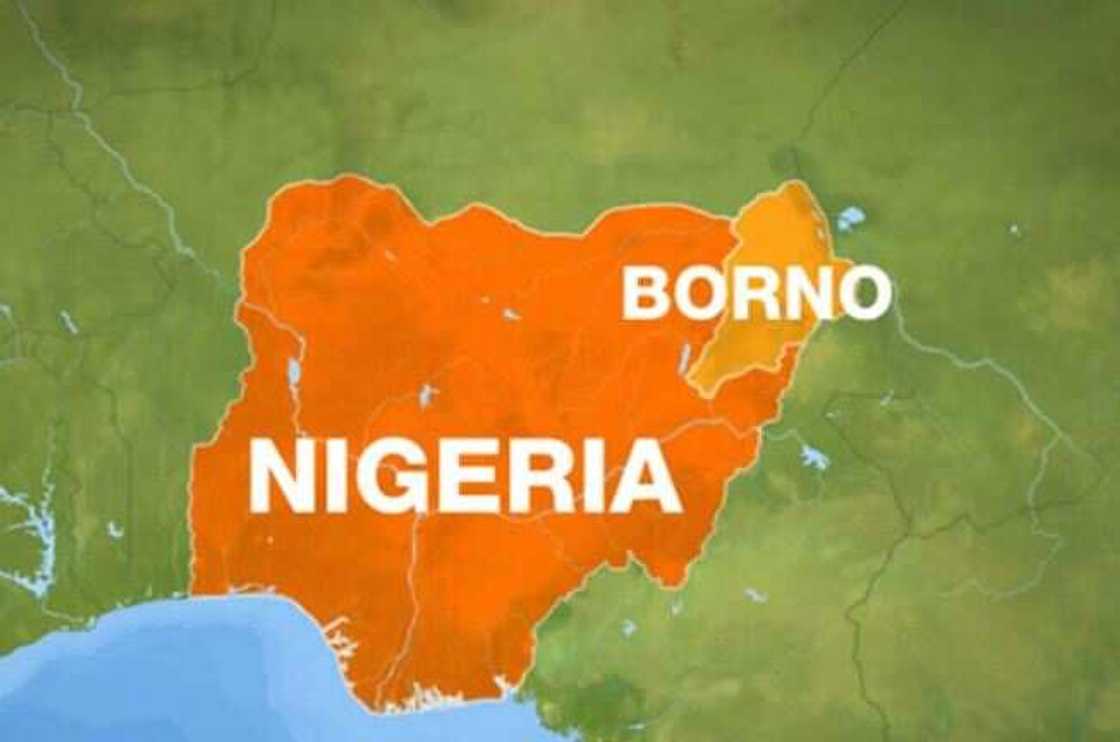 Sharuddan Saudiyya ga Najeriya kan hajjin 2019 Sharuddan Saudiyya ga Najeriya kan hajjin 2019