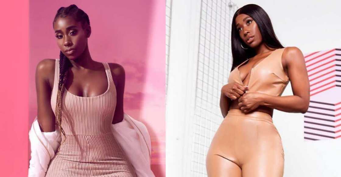 Who is Bria Myles: age, boyfriend, surgery and baby rumours Who is Bria Myles: age, boyfriend, surgery and baby rumours