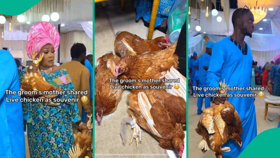 Mother shares live chicken at her son's wedding.