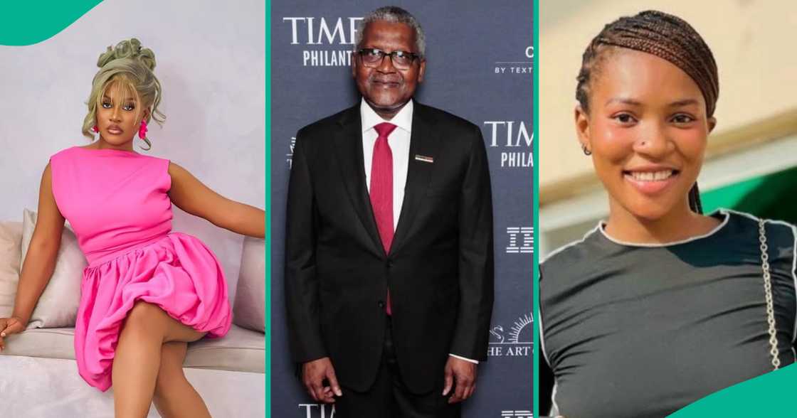 Phyna angrily reacts after Dangote Group issued a statement over her sister's accident involving the company's truck in Edo state.