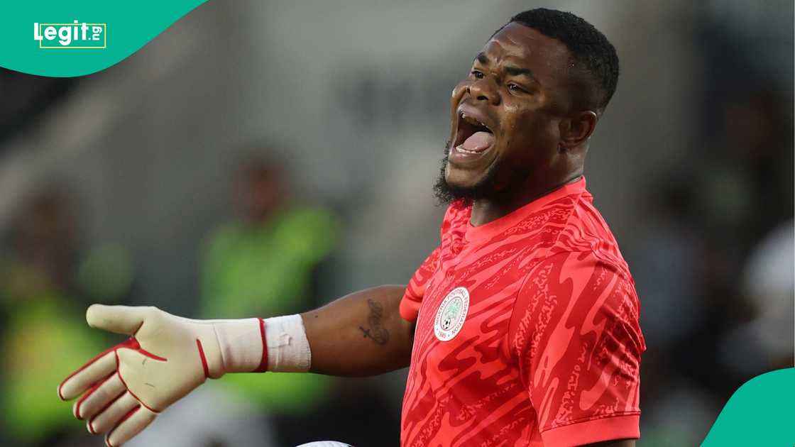 Stanley Nwabali, Super Eagles, Nigeria, AFCON 2025, Morocco.