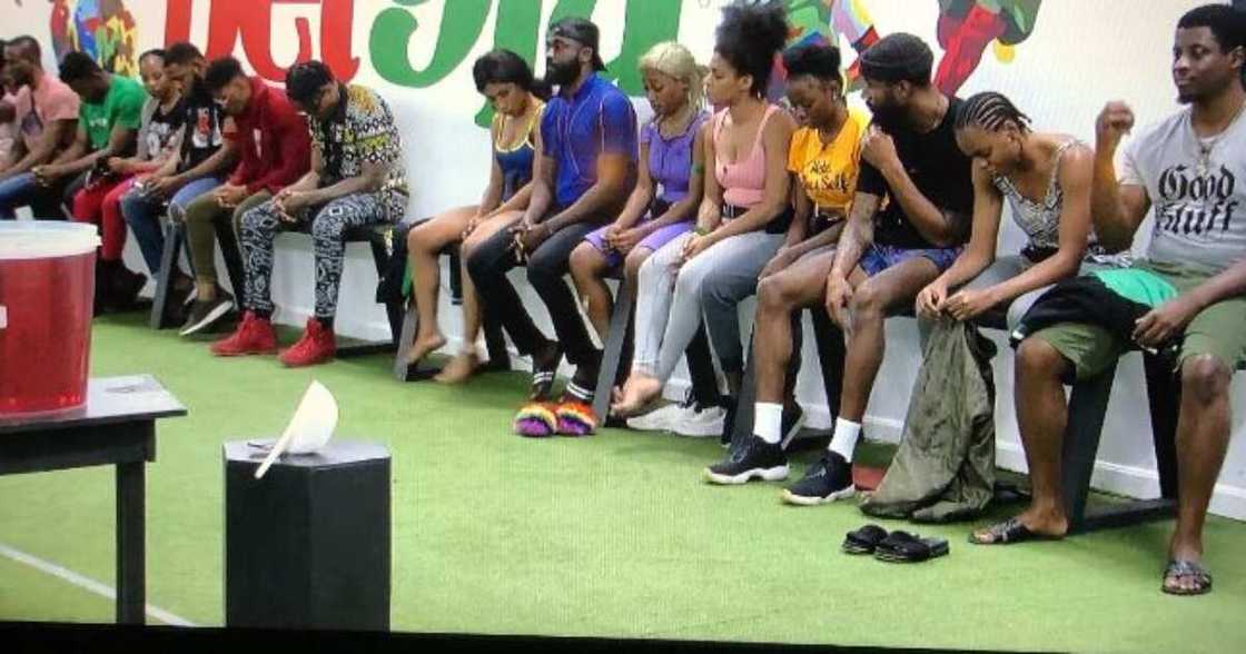BBNaija news today BBNaija news today