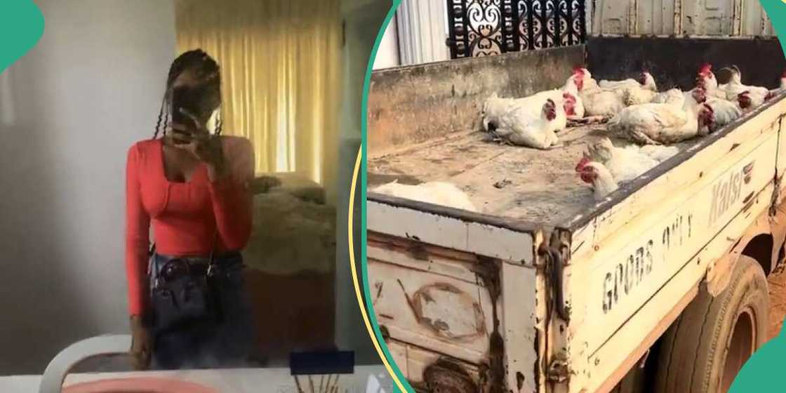 Young lady returns home for Christmas Young lady returns home for Christmas